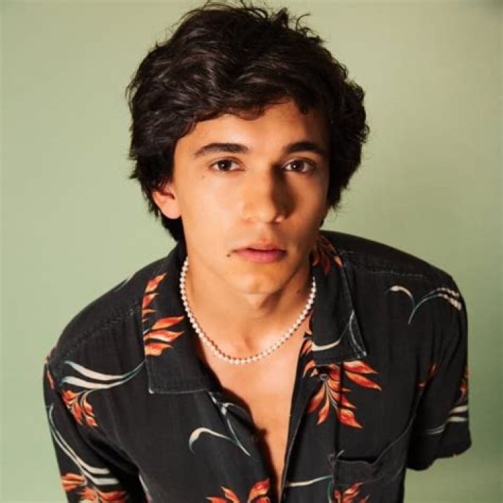 Ajay Friese Bio (Wiki) 