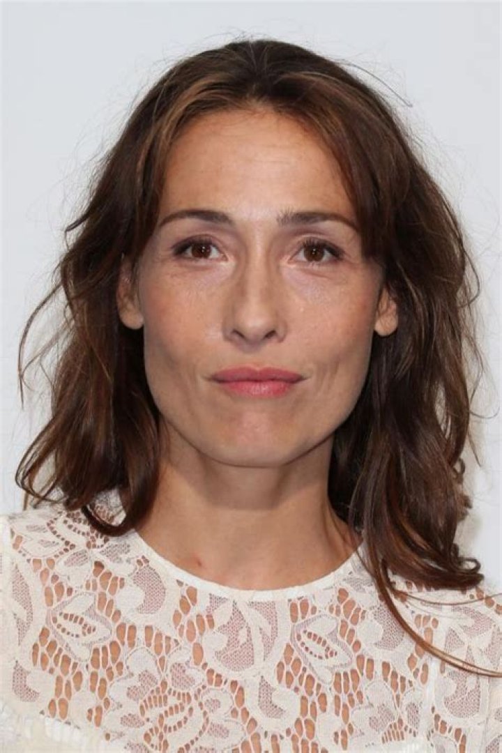 Annelise Hesme Bio (Wiki) 