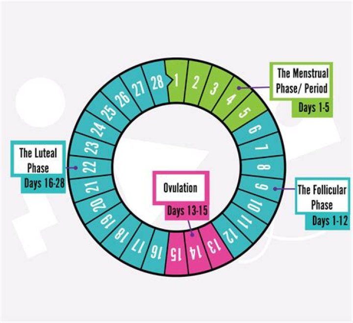 Are the marriages of the Duggar children planned around ovulation and maximum fertile time of the menstrual cycle to get honeymoon babies?