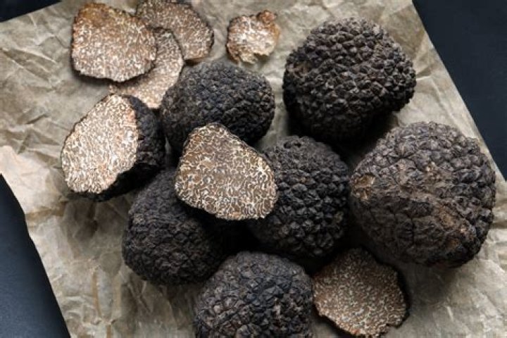 Are truffles made from poop?