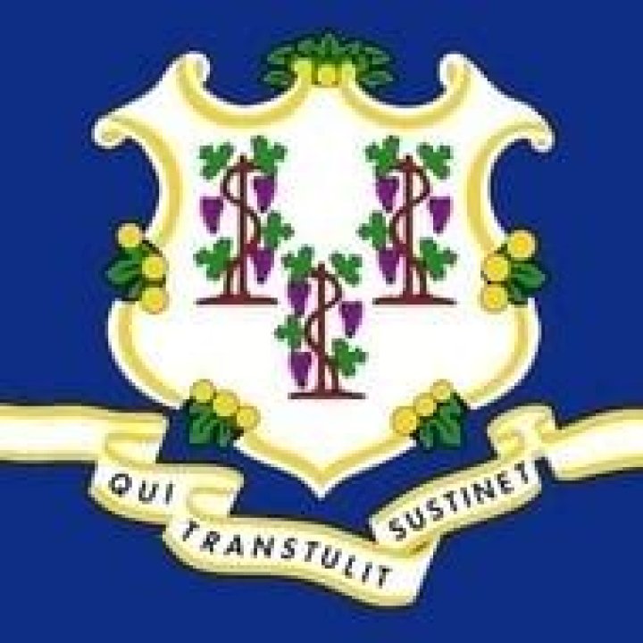 Arty Froushan - Age, Family, Bio