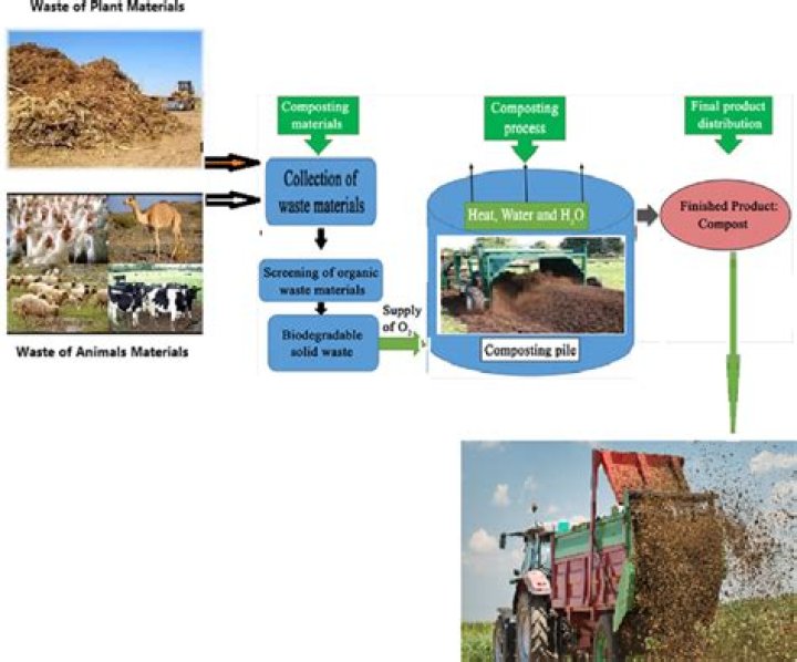 
Australians encouraged to put their food waste to good use as compost 