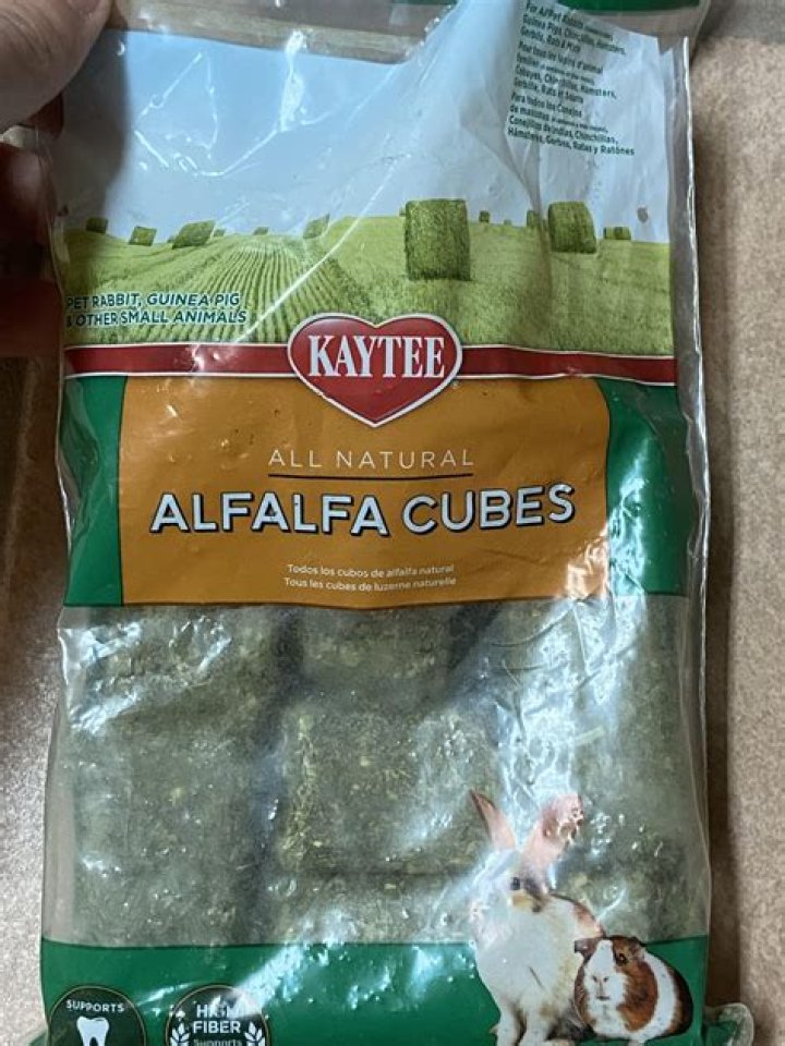 Can rabbits eat alfalfa cubes?