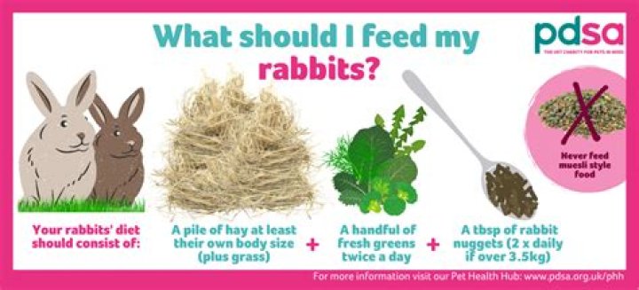 Can you feed oats to rabbits?