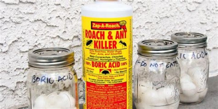 Can you use boric acid to kill mice?