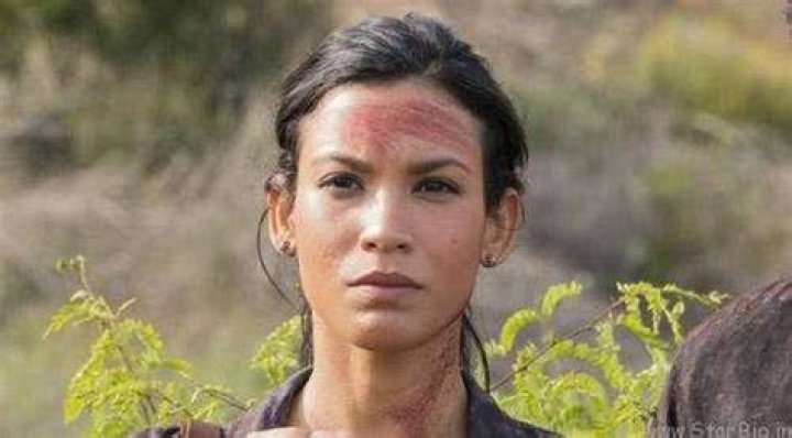 Danay Garcia Bio (Wiki) 