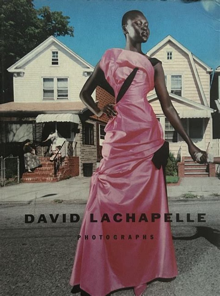 David LaChapelle Bio (Wiki) 