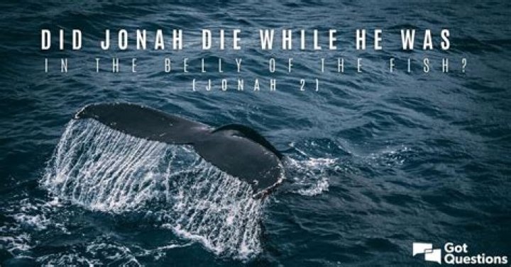 Did Jonah die while he was in the belly of the fish (Jonah 2)?