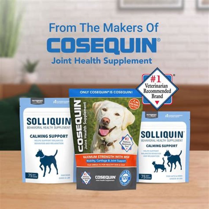 Does Solliquin work for dogs?