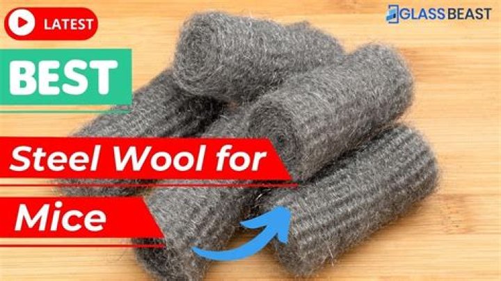 Does steel wool hurt mice?