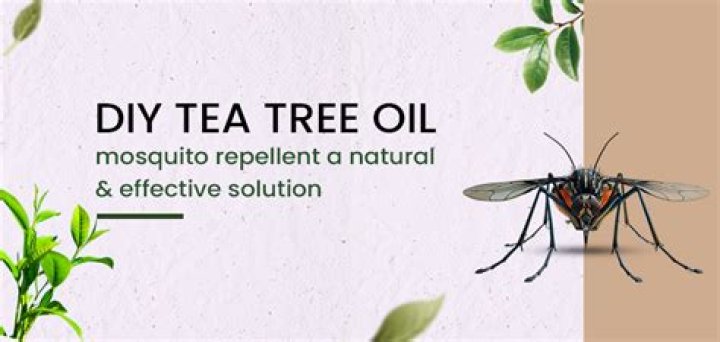 Does tea tree oil keep mosquitoes away?