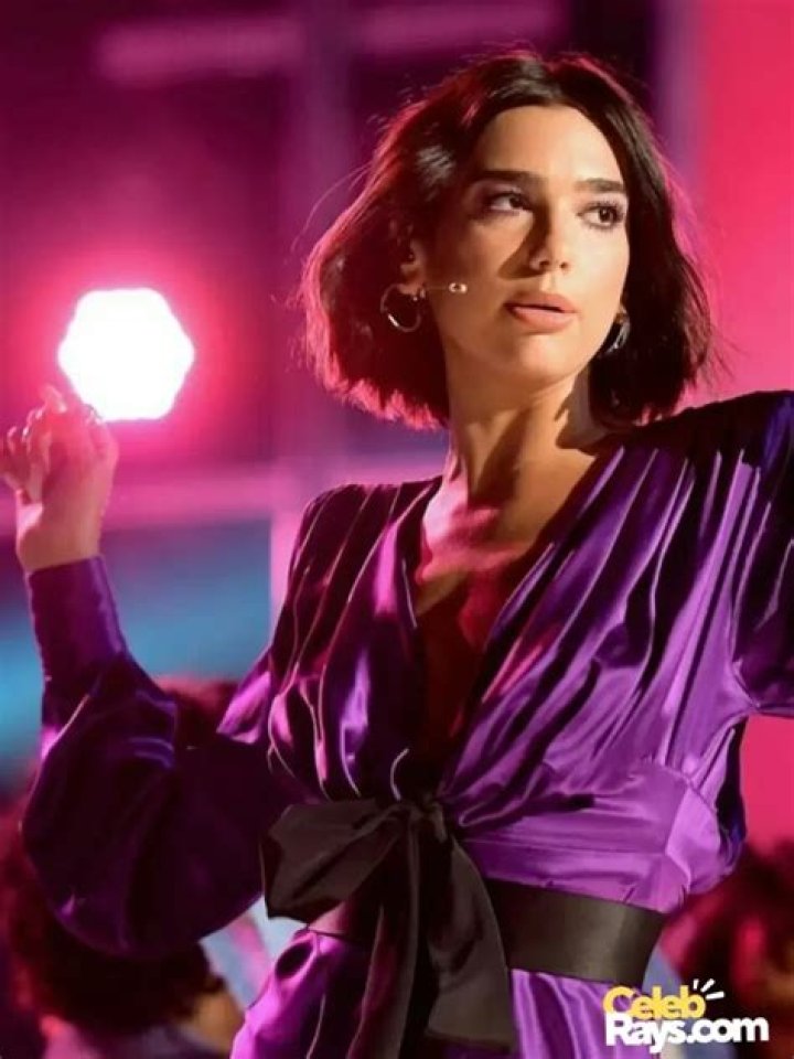 Dua Lipa Bio (Wiki) 