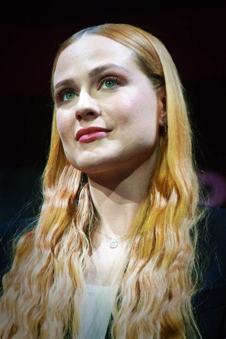 Evan Rachel Wood Bio (Wiki) 