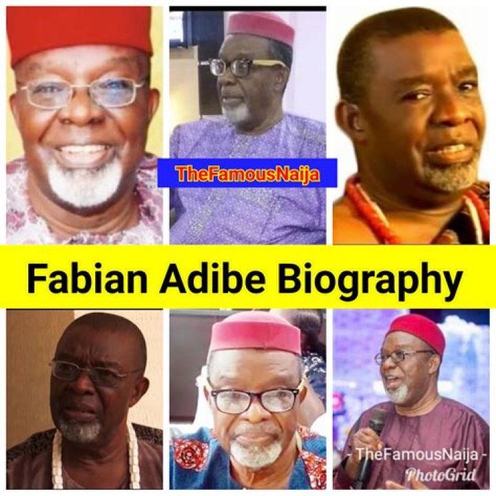 Fabian Arnold - Age, Family, Bio