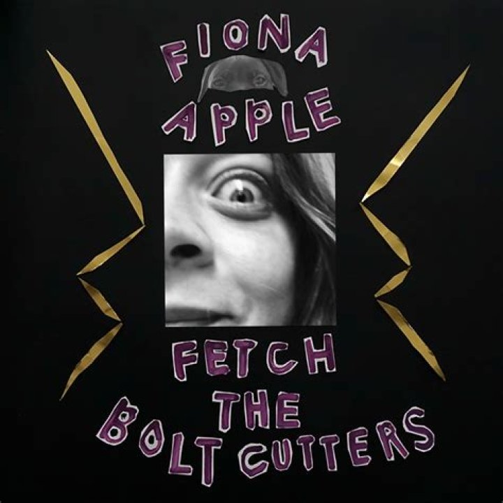 	Fiona Apple: ‘Fetch the f–ng bolt cutters & get yourself out of the situation you’re in’	