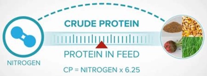 How do you calculate crude protein in animal feed?