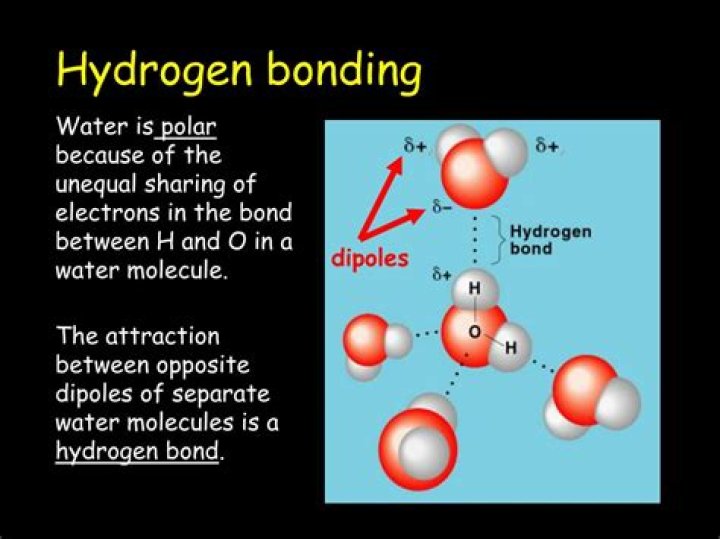 How does soap affect hydrogen bonds between water molecules?