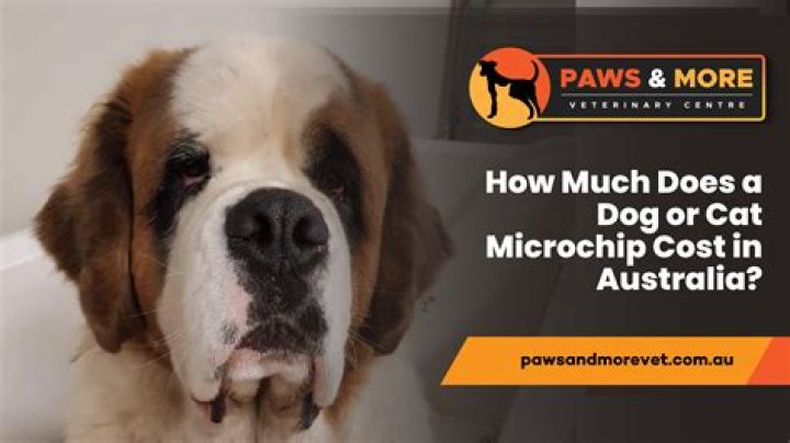 How much does it cost to re porcelain a sink?