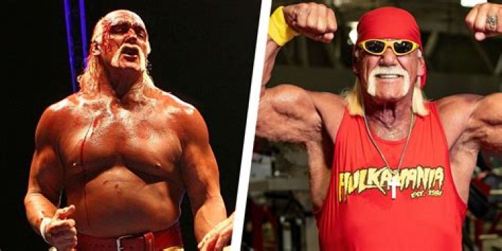 Hulk Hogan Height, Weight, Net Worth, Age, Birthday, Wikipedia, Who, Nationality, Biography