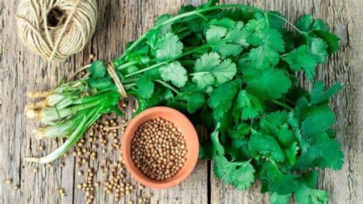 Is it safe to eat cilantro with black spots?