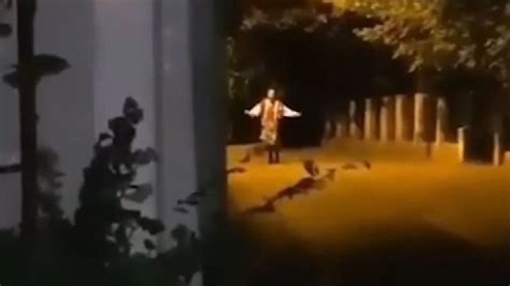 Is the Serbian dancing lady real? Everything to know about the creepy viral video