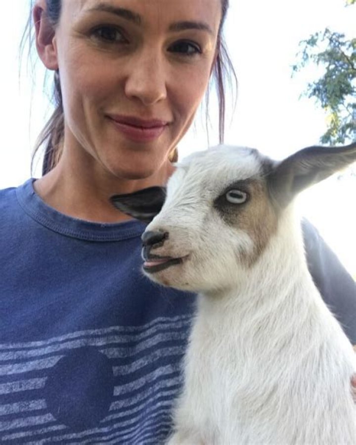 Jennifer West - Age, Family, Bio