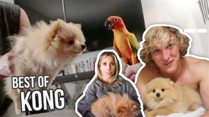 Kong Da Savage - Trivia, Family, Bio