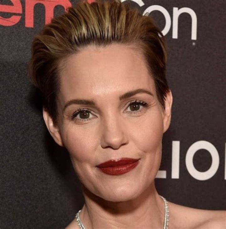 Leslie Bibb Bio (Wiki) 