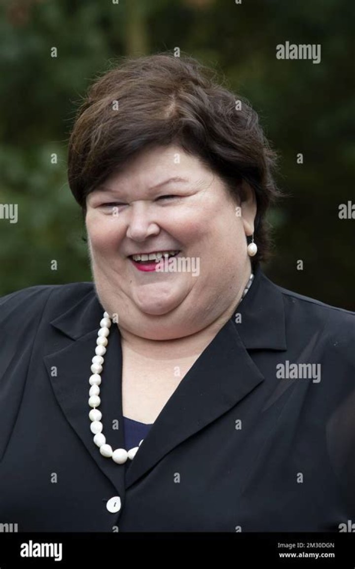Maggie De Block - Age, Family, Bio