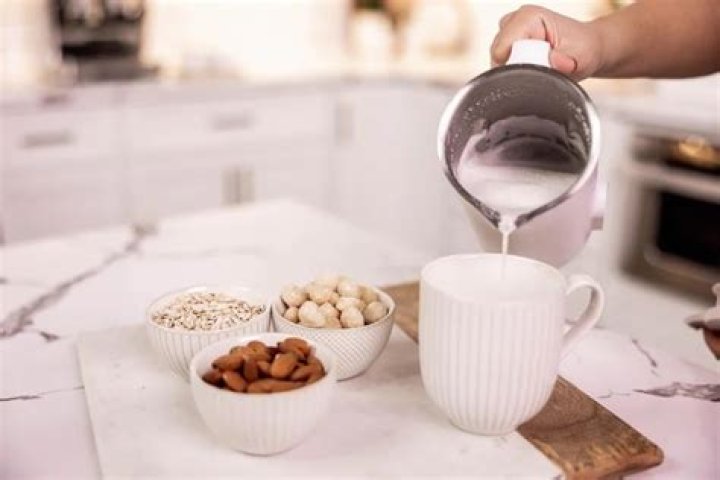 Nutr on Shark Tank: How it works? Step-by-step process, cost, and more about homemade milk product