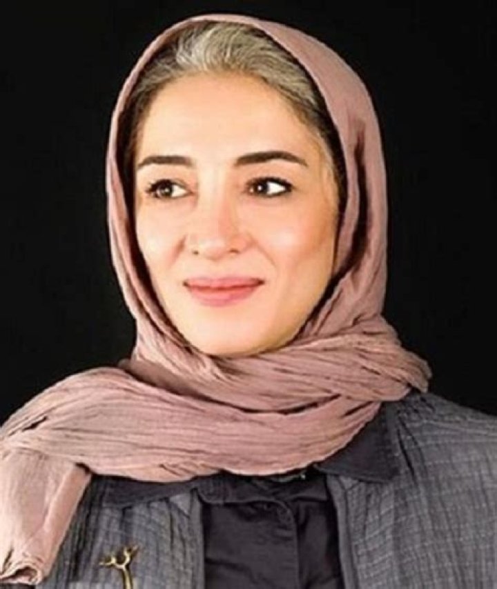 Pantea Panahiha Height, Weight, Net Worth, Age, Birthday, Wikipedia, Who, Nationality, Biography