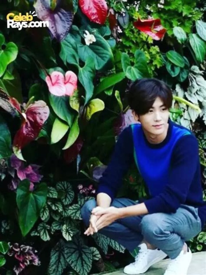 Park Hyung-sik Bio (Wiki) 