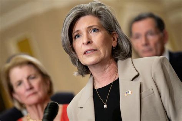 Susan Estrich Bio (Wiki) 