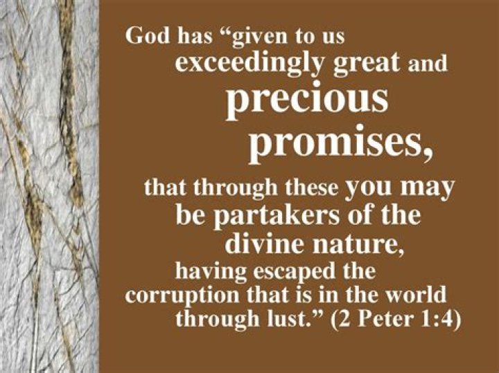 What are some of the exceedingly great and precious promises mentioned in 2 Peter 1:4?
