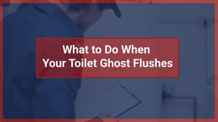 What do you do when the toilet flushes by itself?