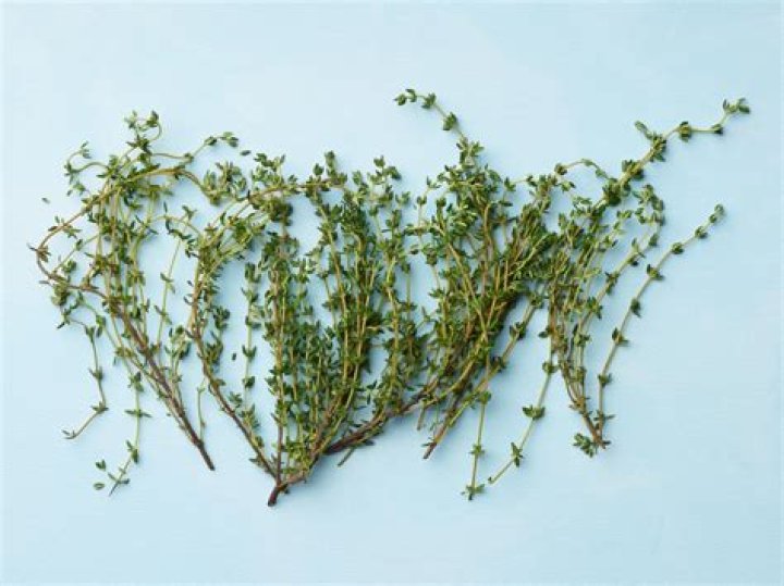 What does a sprig of rosemary mean?