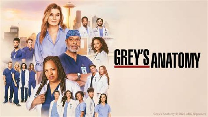 What does the pit mean in GREY anatomy?