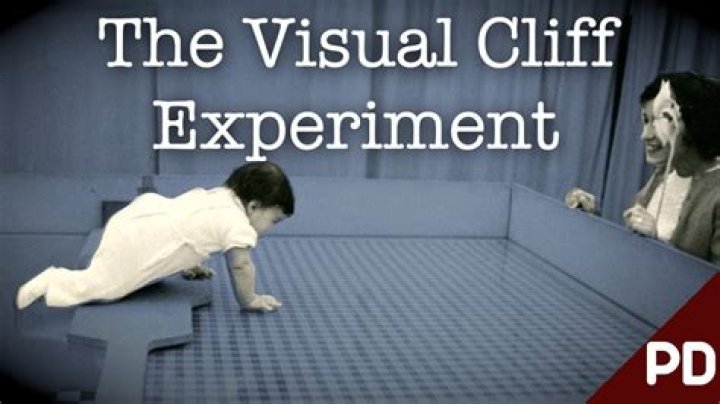 What does the visual cliff experiment prove?