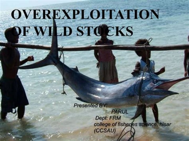 What factors contribute to overexploitation of wild species?