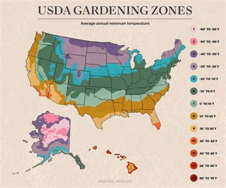 What gardening zone is Knoxville TN?