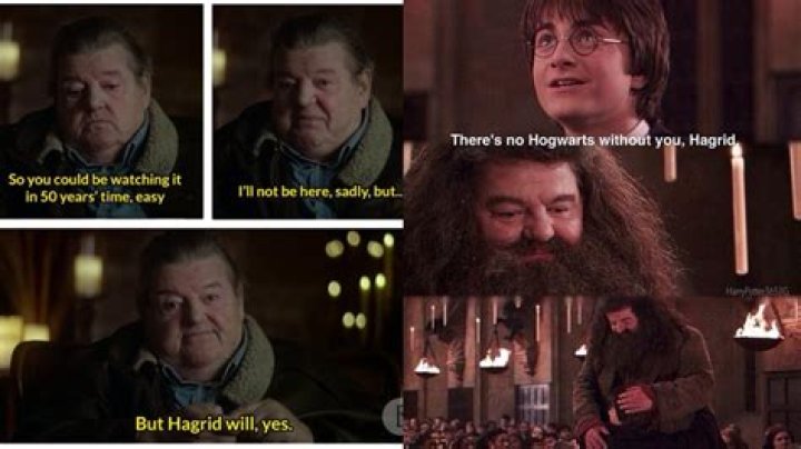 What Happened To Him Meme – Is The Meme’s Origin From Harry Potter?