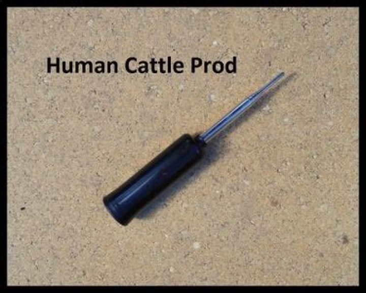 What happens if you use a cattle prod on a human?