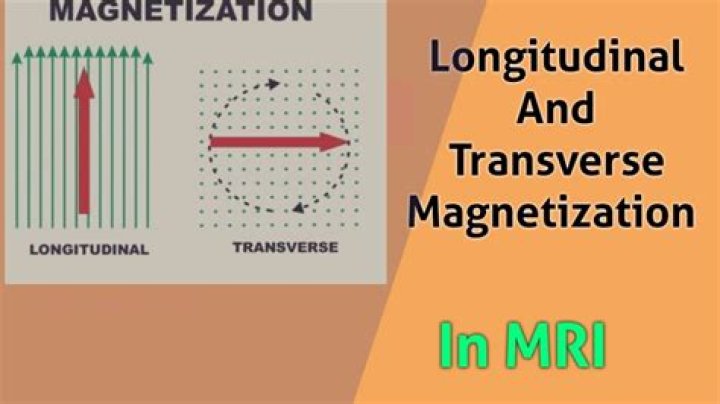 What is longitudinal magnetization?