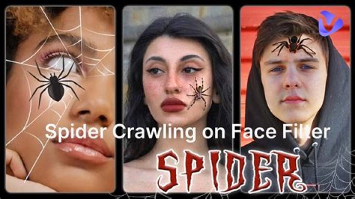 What Is Spider Filter TikTok And How To Do The Spider Crawling On Face Effect Prank?