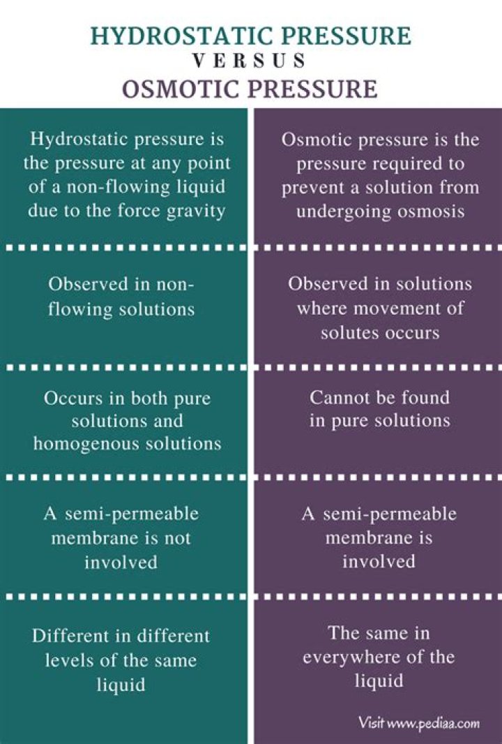 What is the difference between osmotic and hydrostatic pressure?