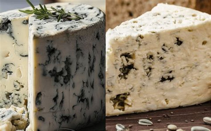 What is the difference between Roka Blue cheese and regular blue cheese?