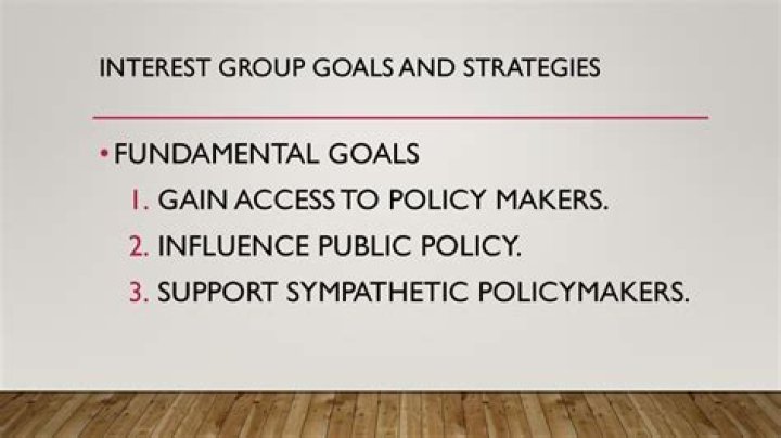 What is the fundamental goal of interest groups?