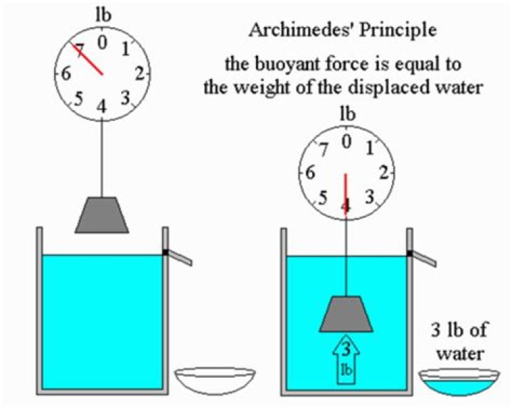 What principle is hydrostatic weighing based upon?