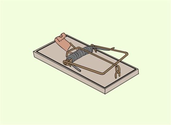 What type of spring is used in a mousetrap?