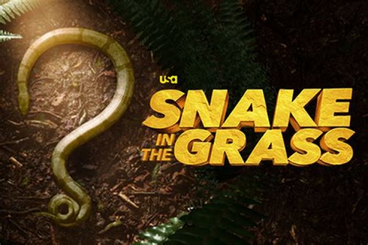 
When will USA Network broadcast Snake in the Grass Season 1 Episode 2? Exploring the release date and more 